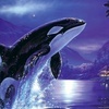 🐋®الحوت®🐋