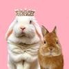 Queen Blanco & Lil Bollo