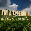 imacelebrity