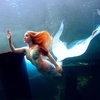 Lexie Mermaid