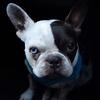 littlefrenchi