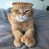 Handsome