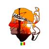 zapping_senegal