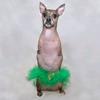 Nessie McNubbins