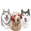 Nico, Jackson & Zoey