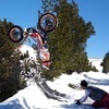 Toni Bou